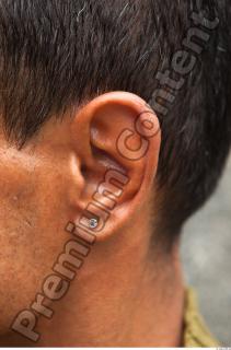 Ear texture of street references 331 0001